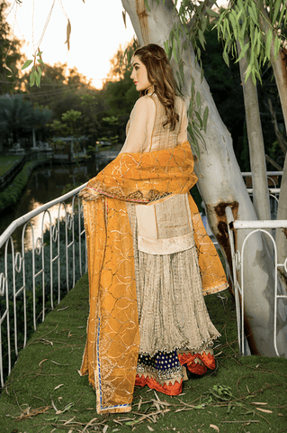 Z-238 - KHUDA BAKSH CREATIONS